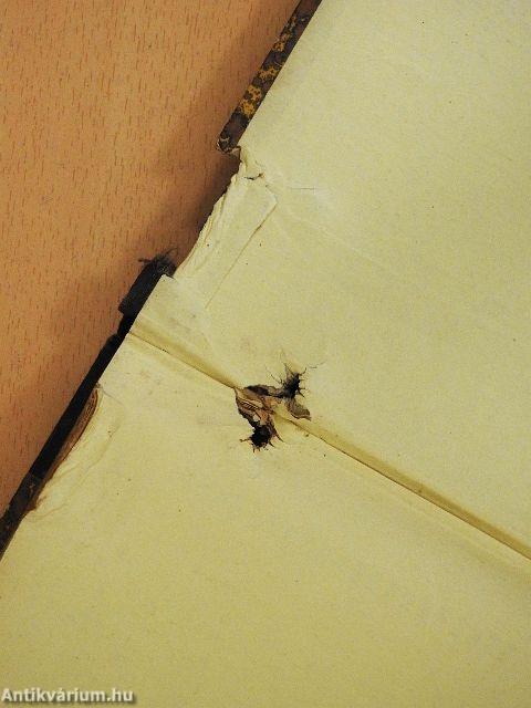 Időjárás és éghajlat (rossz állapotú)