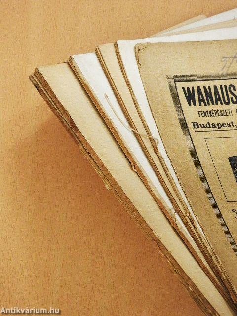 Müvészi fényképezés (rossz állapotú)