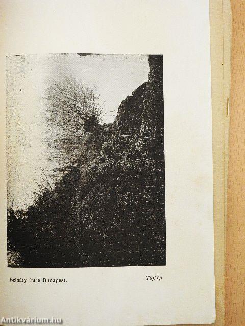 Müvészi fényképezés (rossz állapotú)