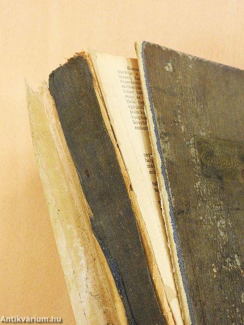 Móra Ferencné szakácskönyve (rossz állapotú)