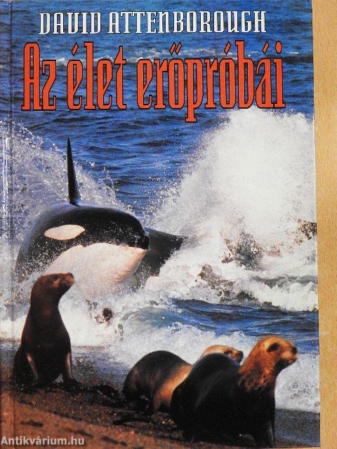 Az élet erőpróbái