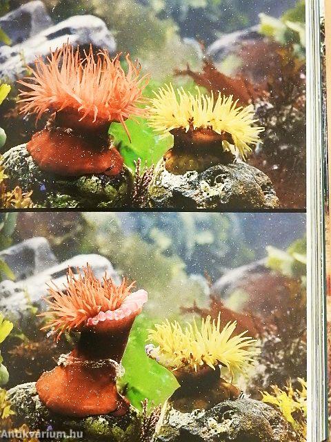 Az élet erőpróbái