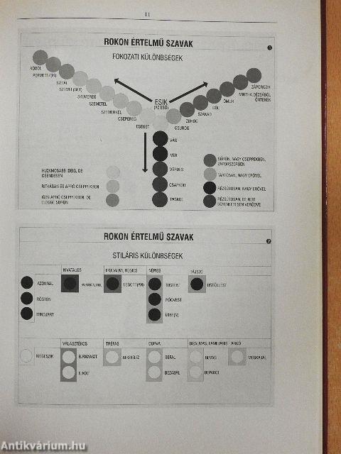Szinonimaszótár diákoknak