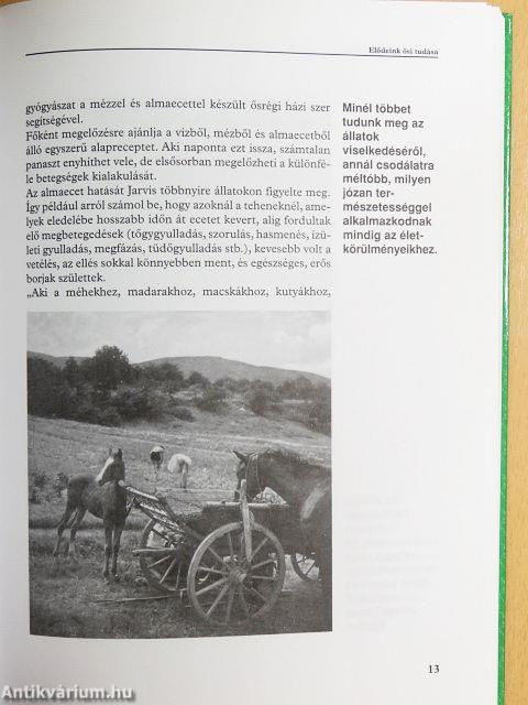 Természetes gyógymódok almaecettel