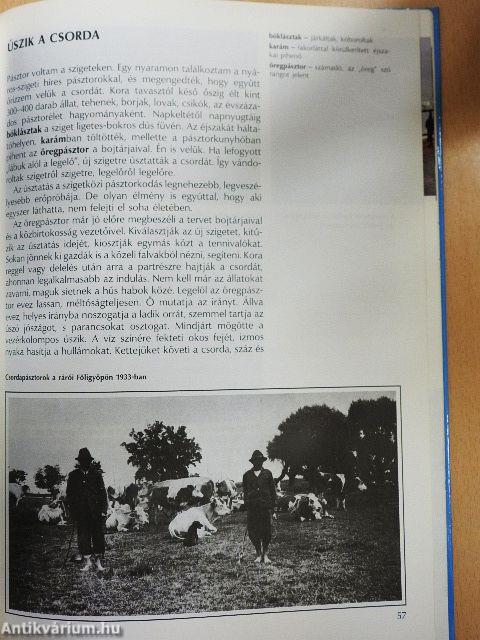 Ezer sziget országa