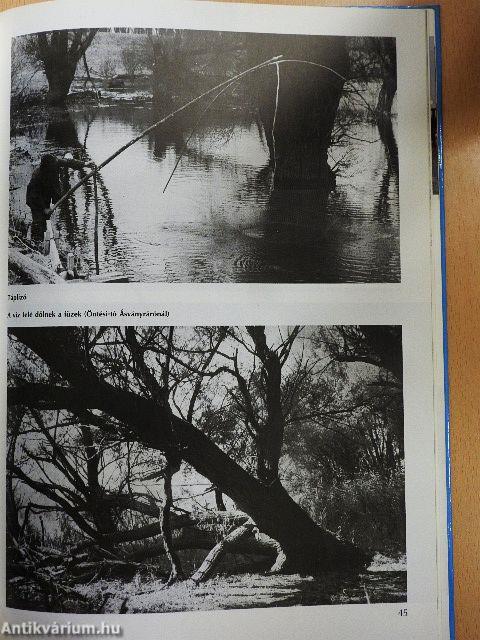 Ezer sziget országa