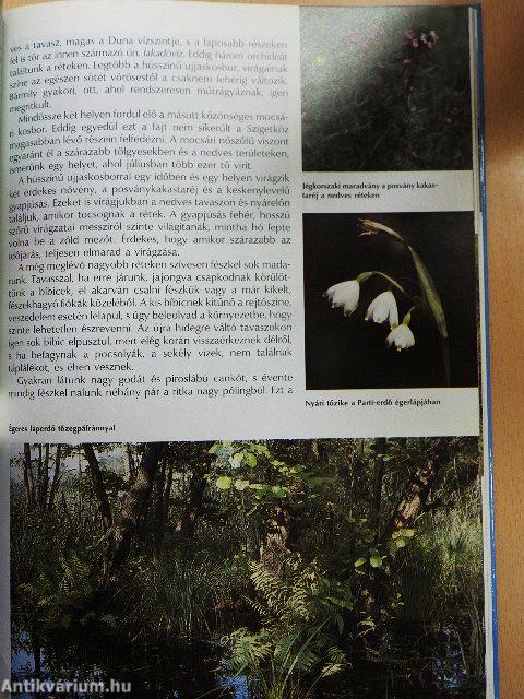 Ezer sziget országa