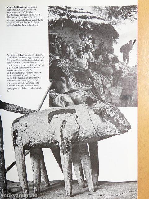 Képes világtörténet