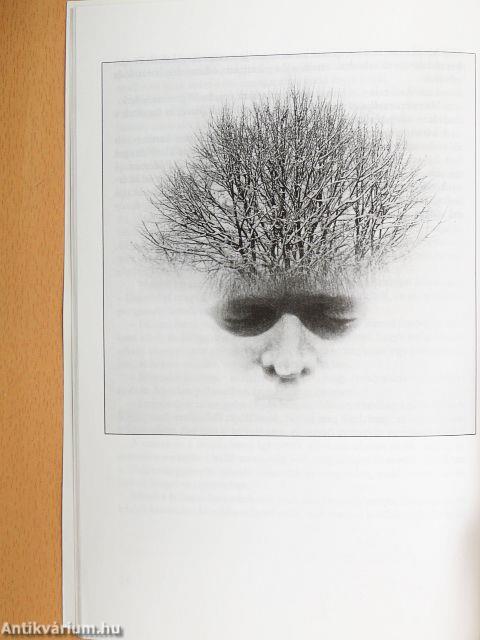 Szampó és Mirmidó