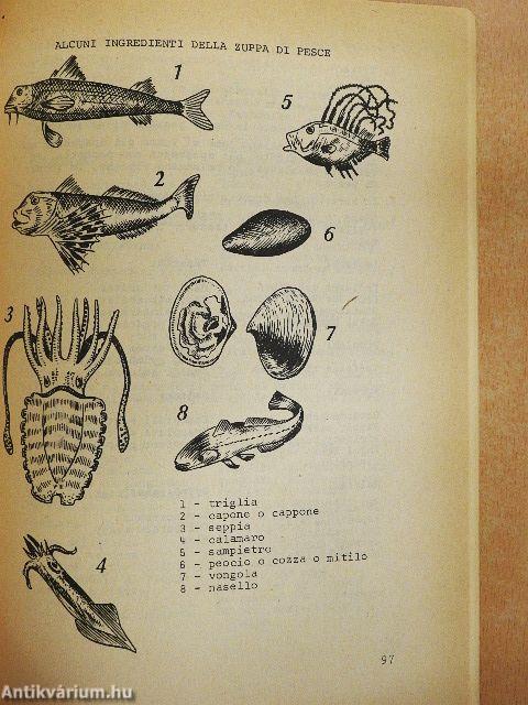 Esercitazioni di lingua italiana