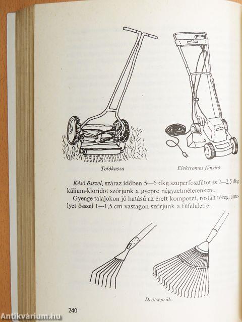 Kiskerti tanácsadó