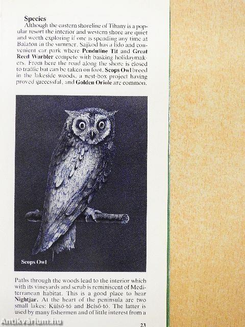 A Guide to Birdwatching in Hungary