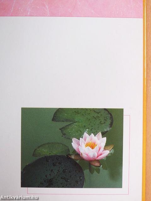 Ahogy az idő elszelel...