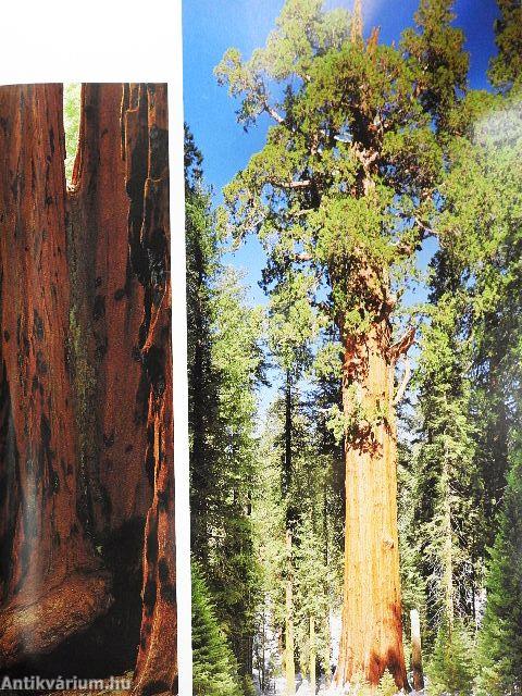 A világ nemzeti parkjai