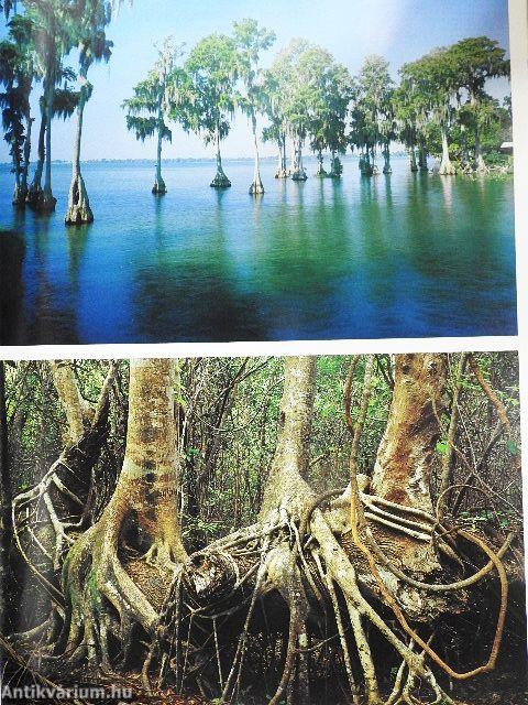 A világ nemzeti parkjai