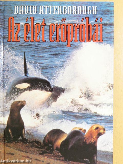 Az élet erőpróbái