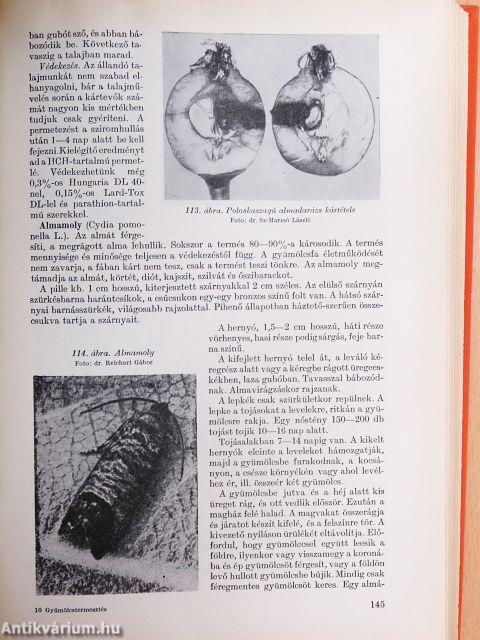 Gyümölcstermesztés