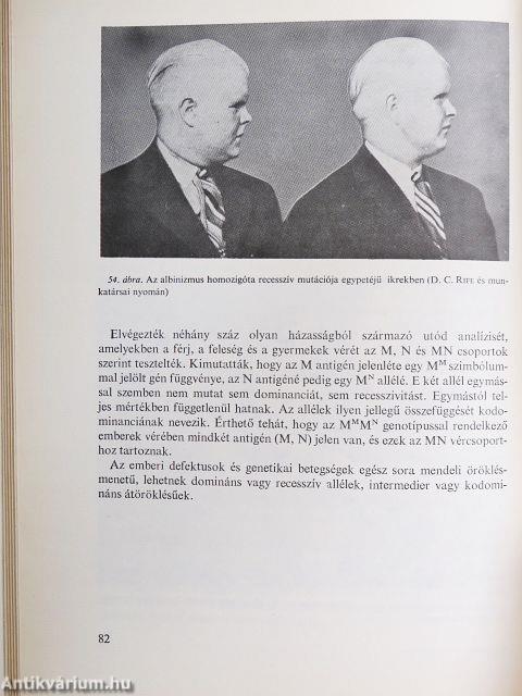 Általános genetika