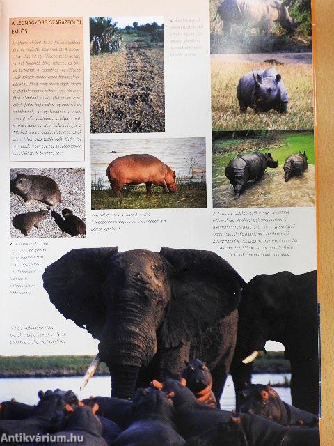 Vadonjárók kalauza