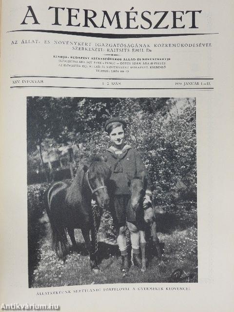 A Természet 1928-1929. január-december