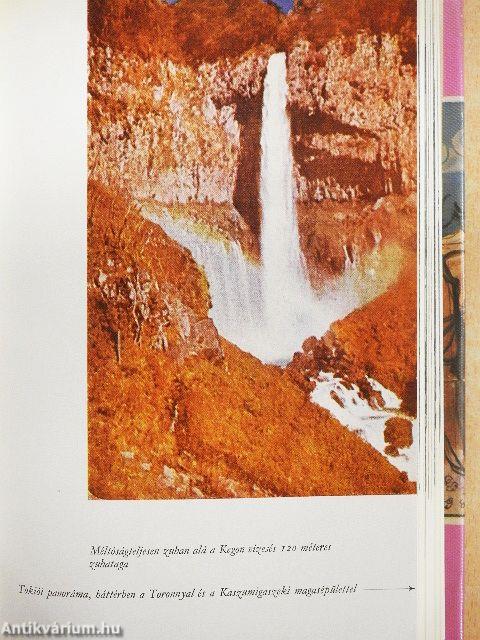 Japán a Kakas évében