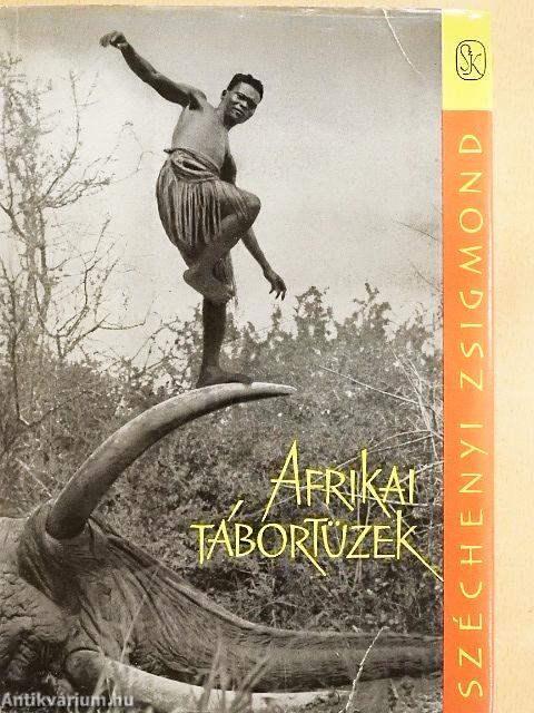 Afrikai tábortüzek