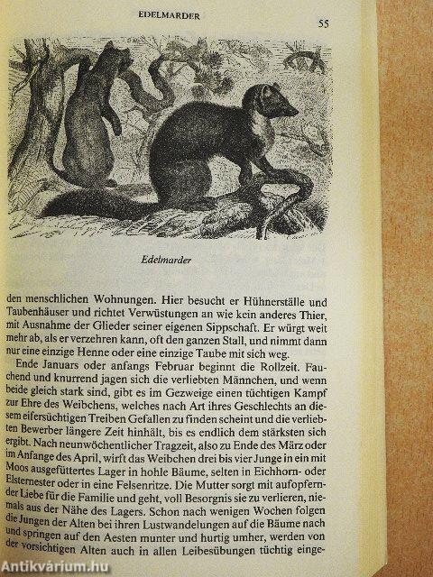 Brehm's Thierleben II. - Die Säugerthiere 2.