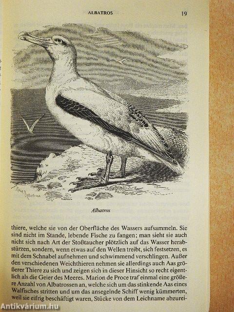 Brehm's Thierleben III - Die Vögel