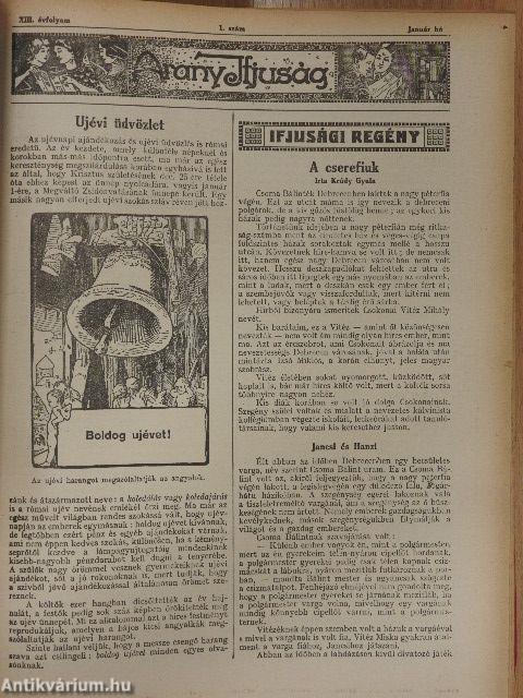 Tolnai Világlapja 1913. (nem teljes évfolyam)