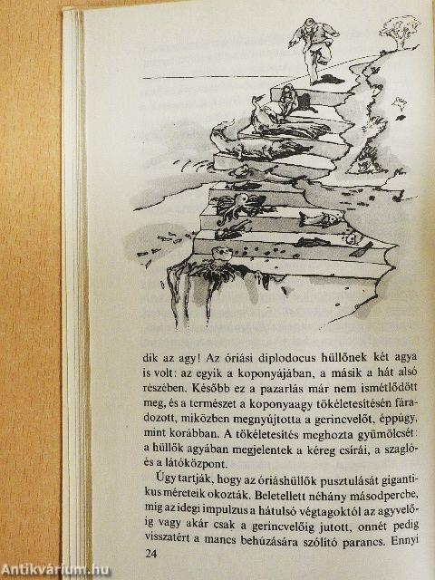 Az emlékezet labirintusa