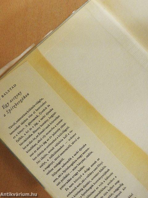 Egy asszony a Spitzbergákon