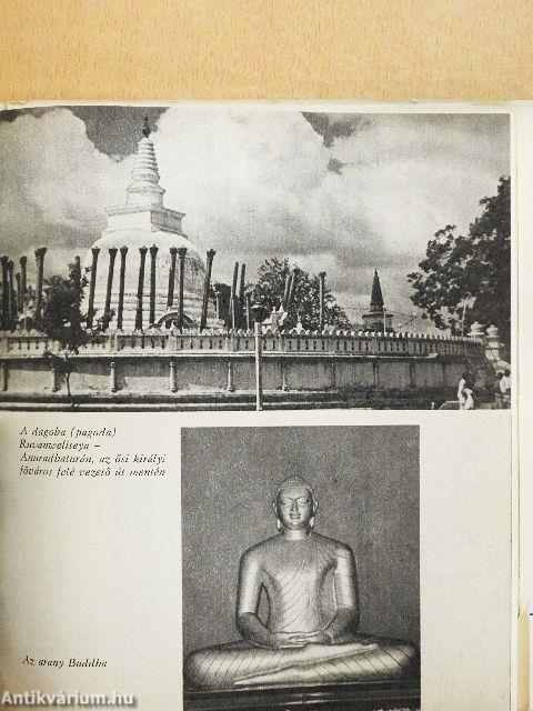 Colombótól Rotterdamig a Hungárián