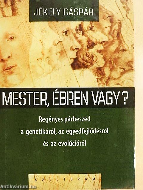Mester, ébren vagy?