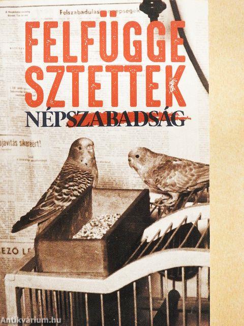 Felfüggesztettek
