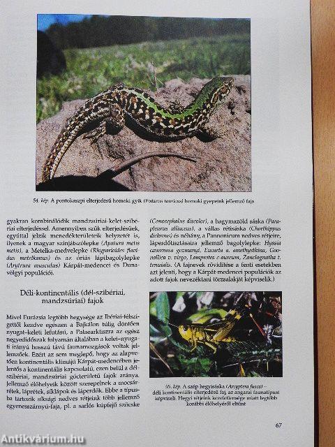 Magyarország tájainak növényzete és állatvilága