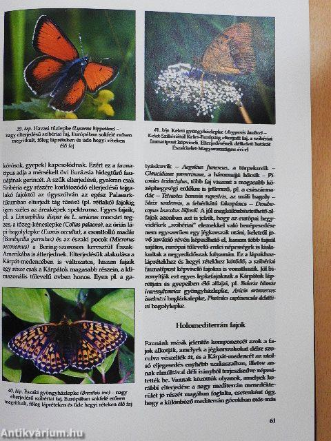 Magyarország tájainak növényzete és állatvilága