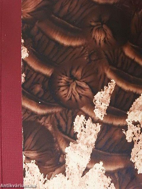 Az élet fejlődéstörténete