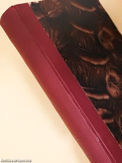 Az élet fejlődéstörténete