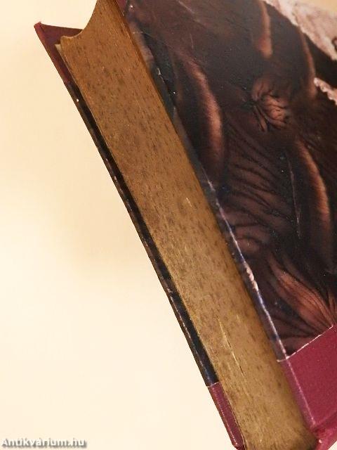 Az élet fejlődéstörténete