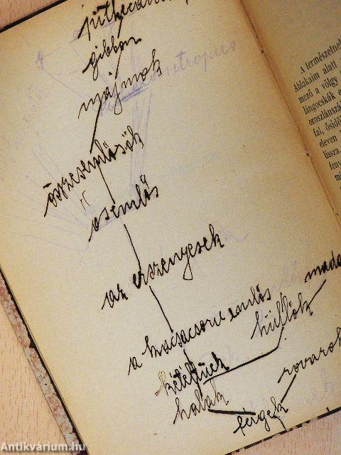 Az élet fejlődéstörténete