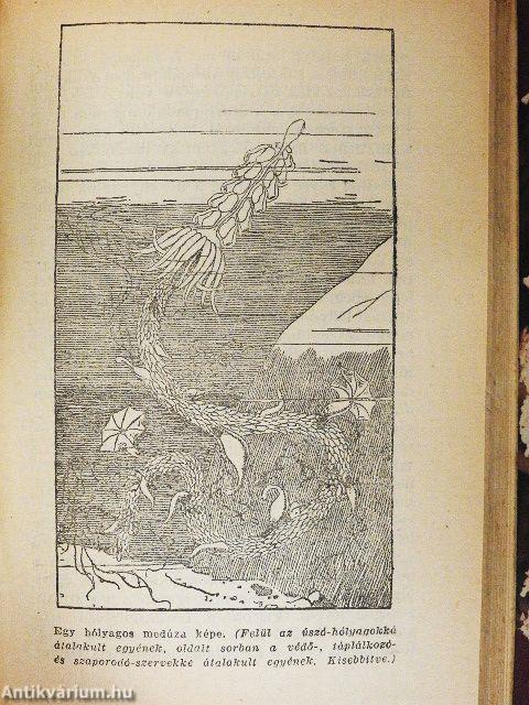 Az élet fejlődéstörténete