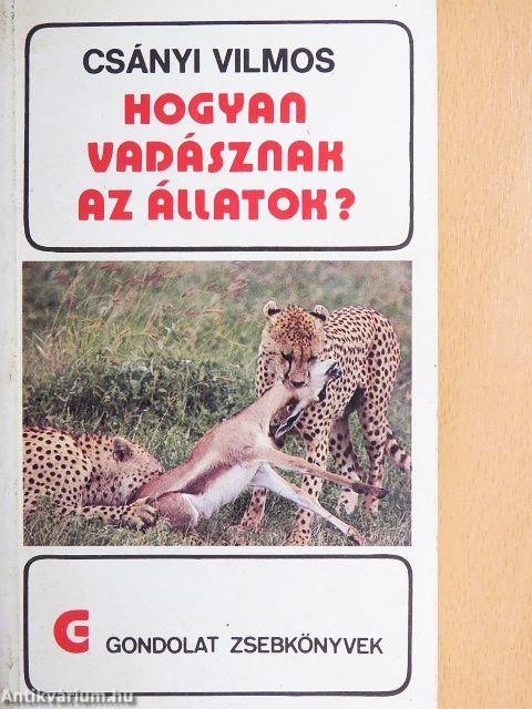 Hogyan vadásznak az állatok?