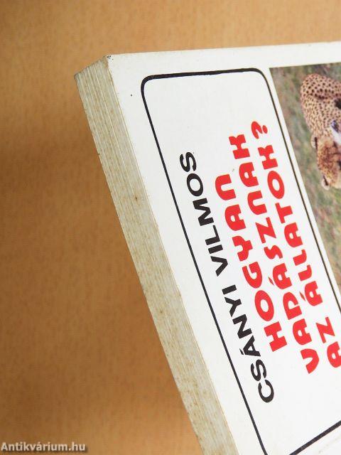 Hogyan vadásznak az állatok?