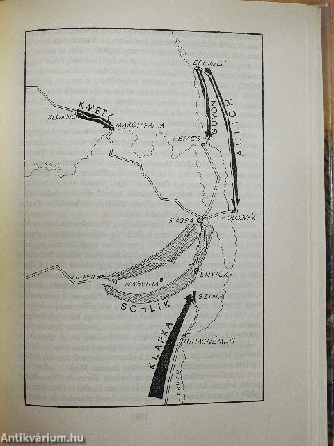 Dembinski fővezérsége és a kápolnai csata