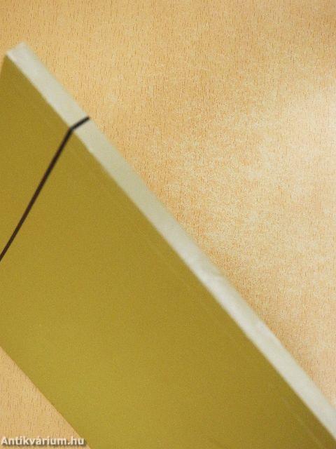 Hódmezővásárhely és Környéke Volt Leventék és Hadifoglyok Baráti Körének egy évtizede