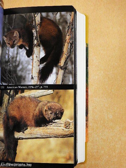 National Audubon Society Field Guide to North American Mammals