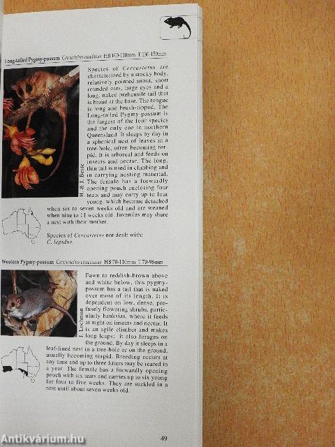 A Photographic Guide to Mammals of Australia