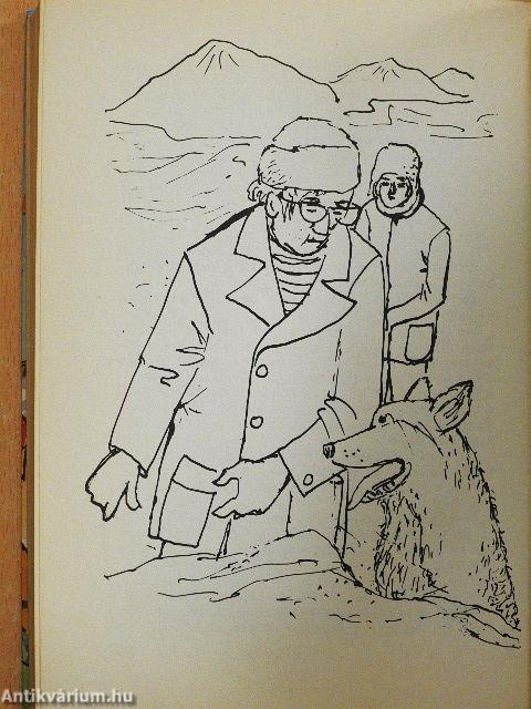 Wettfahrt mit Ursula