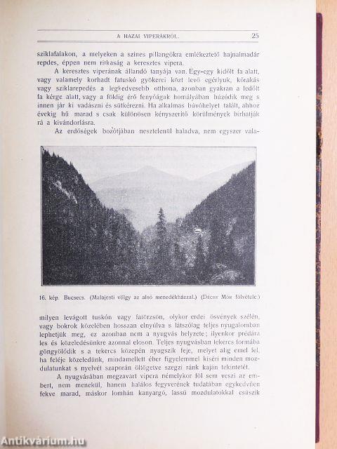 Természettudományi Közlöny 1912. január-december/Pótfüzetek a Természettudományi Közlönyhöz 1912. január-december