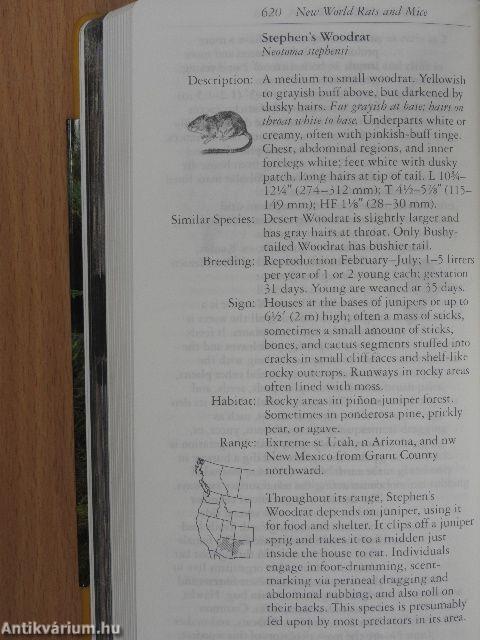 National Audubon Society Field Guide to North American Mammals